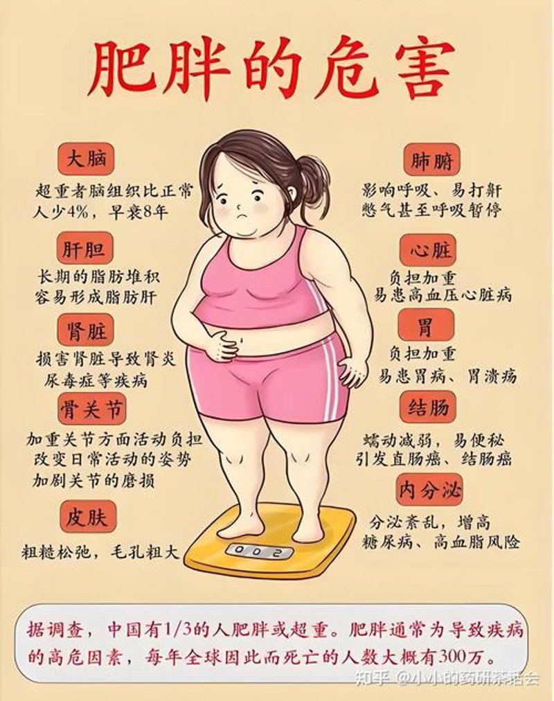 体重管理:轻松做减法